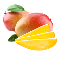 fruit icon
