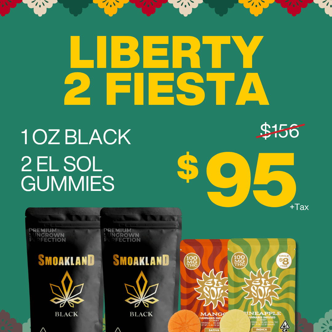 Liberty 2 Fiesta