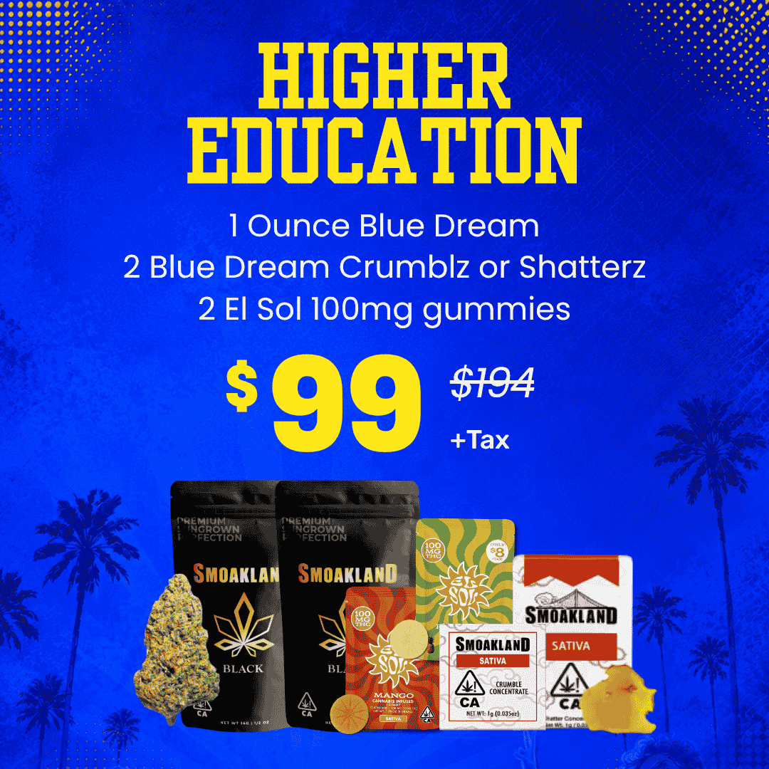 Higher Education