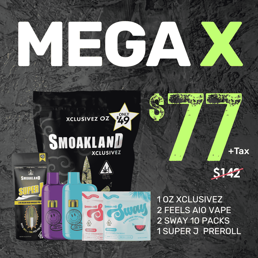Mega X 🔥 New 🔥