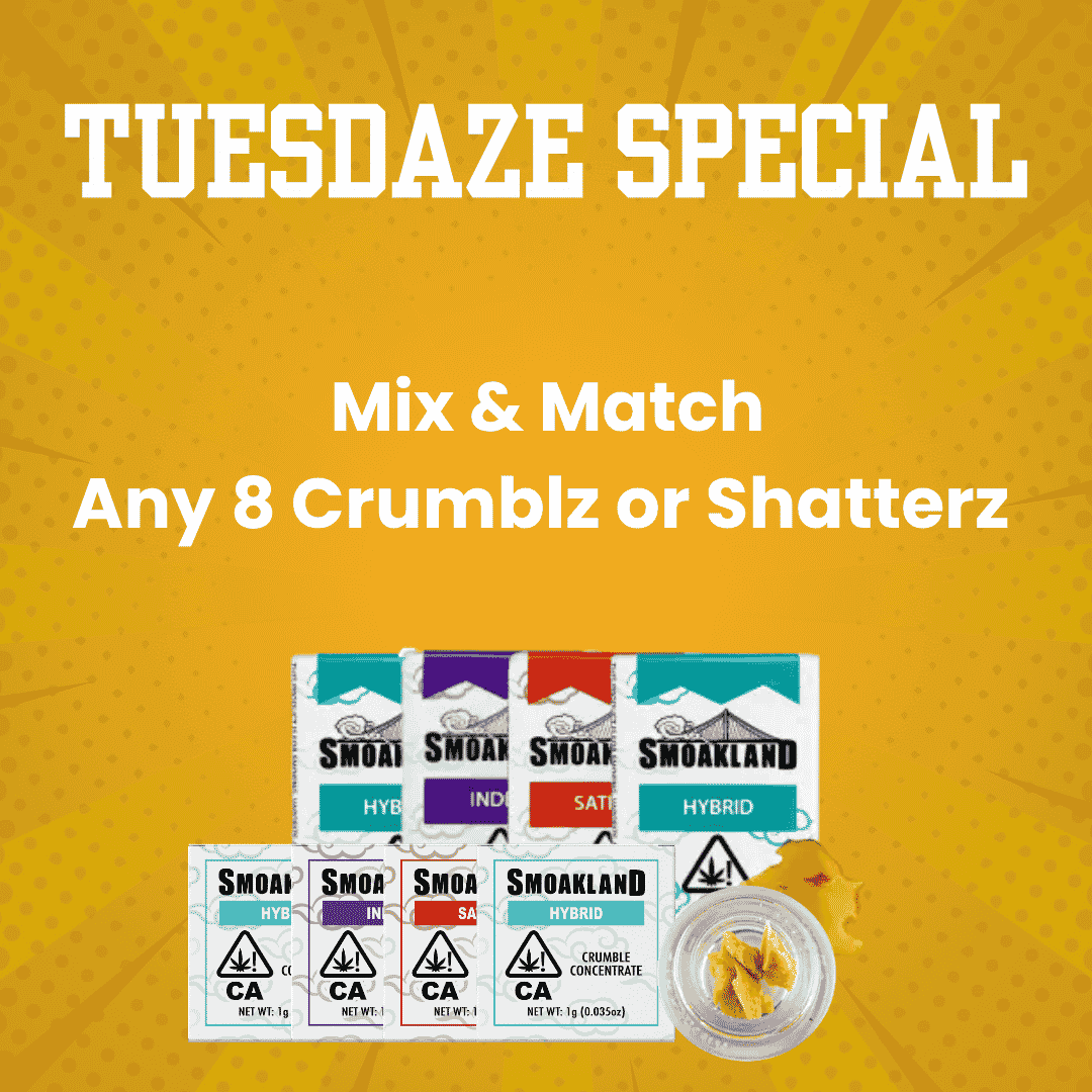 Tuesdaze Special