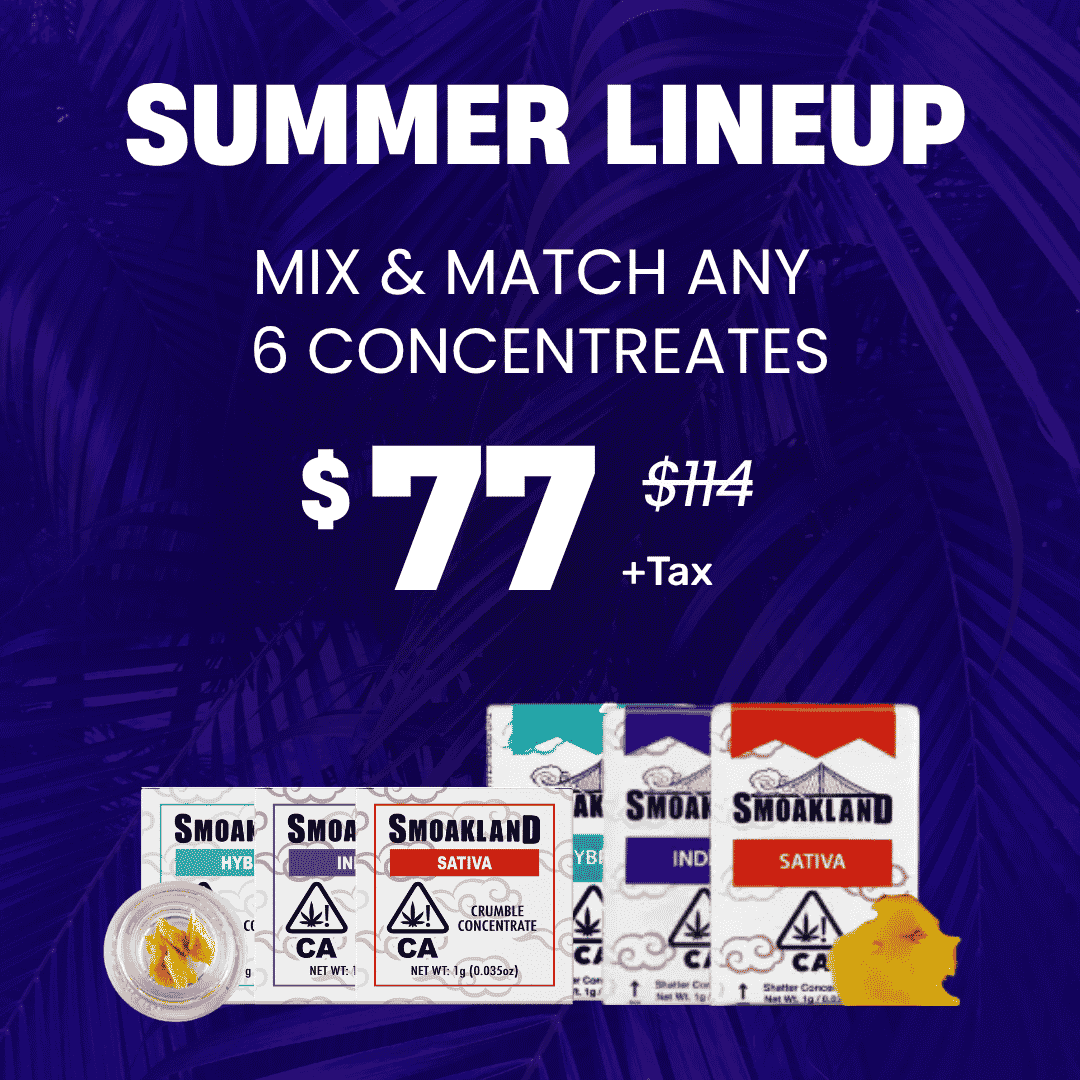 Summer Lineup