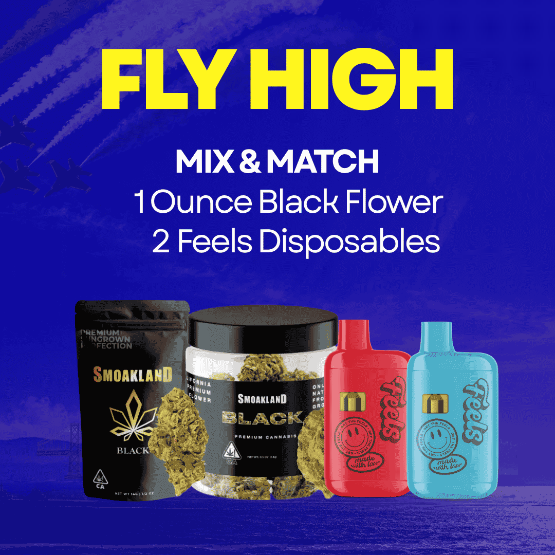 Fly High