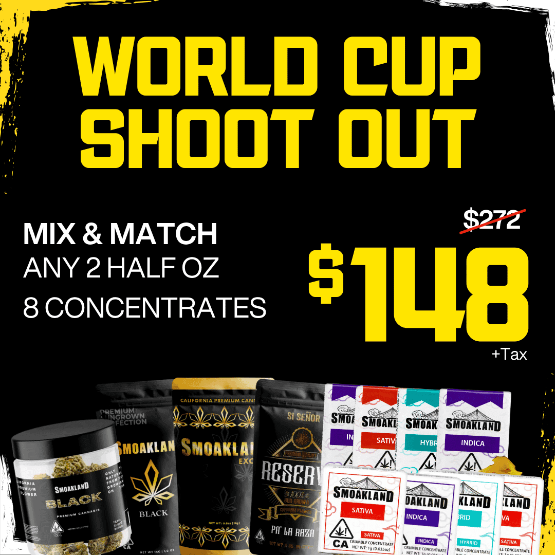 World Cup Shoot Out