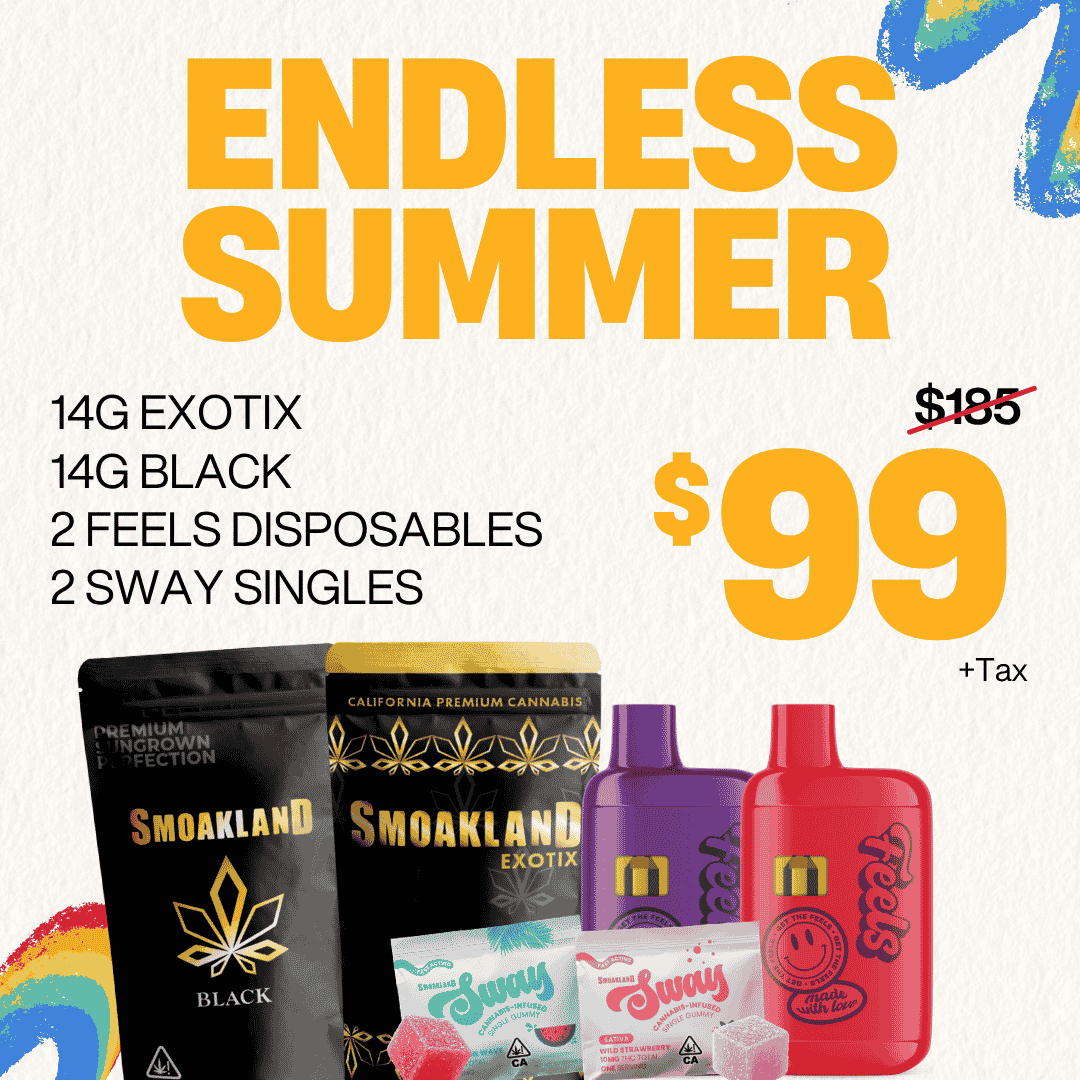 Endless Summer