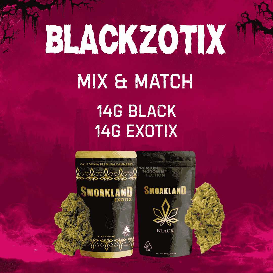 🔥 BlackZotix 🔥