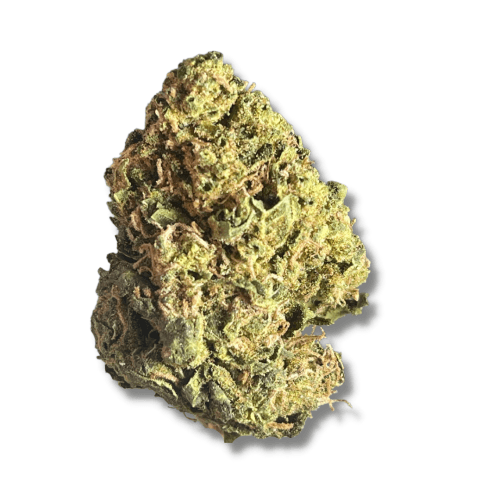 Xclusivez - Blueberry Space Cake (SEEDED - CBD-Rich) - (I) - 28g