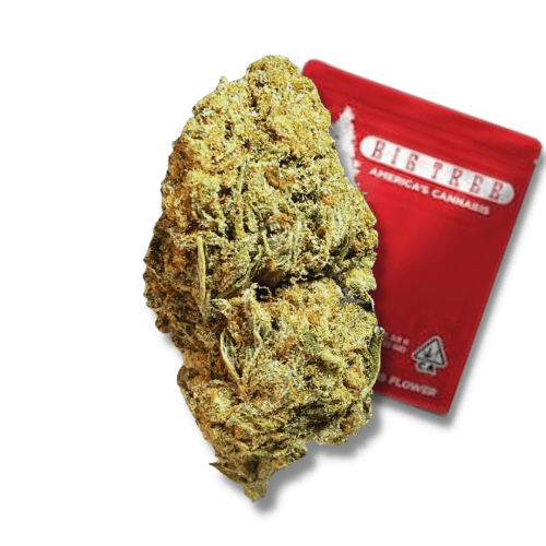 Big Tree - Cake Pop (I) - 14g