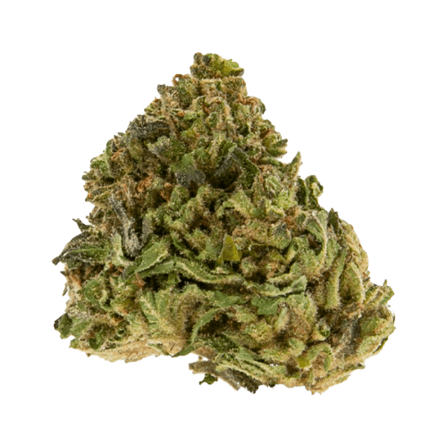 Exclusive - Platinum Sour Diesel (S) - 28g