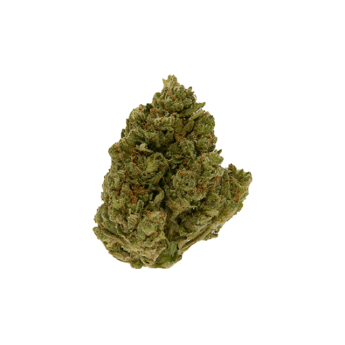 Xclusive - Rainbow Sherbet (H) - 28g