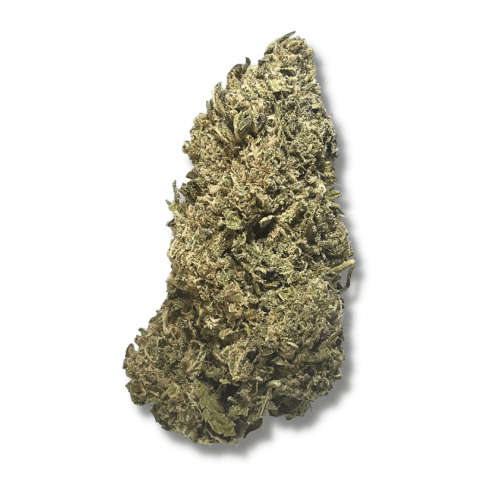 Exotix - Love Potion #9 (I) - 14g