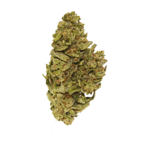 Exclusive - Black Mamba (I) - 28g