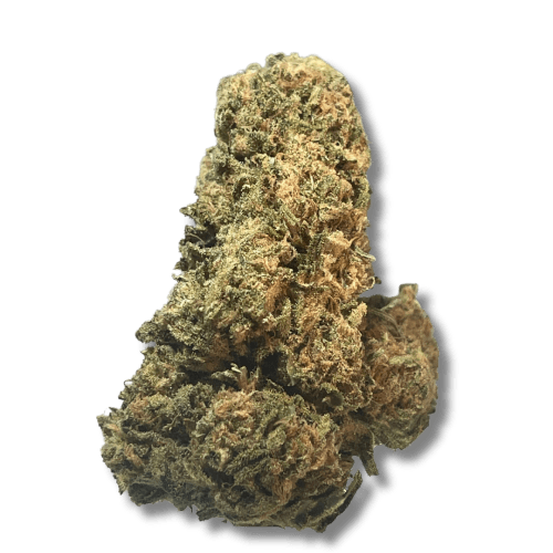 Black - Blue Dynamite (I/H) - 14g