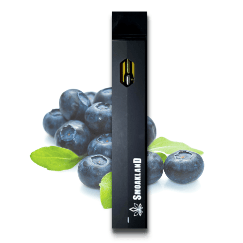 All in One Faderz - Blueberry Gelato (I) - 1g