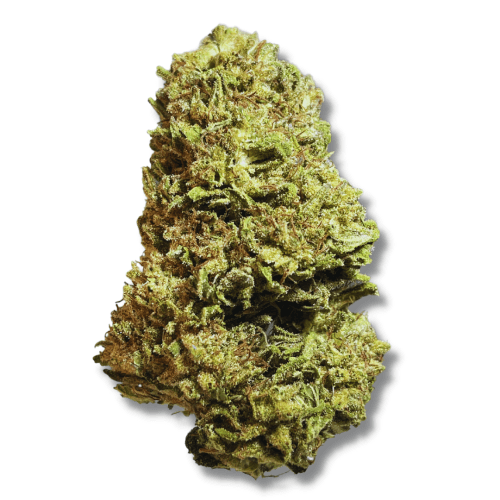 Exclusive - Sugar Cookies (H) - 28g