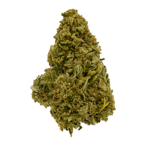 Signature - GDP (I) - 28g