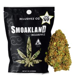 Ice Cream Cake (Indica) - 28g