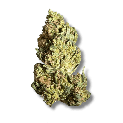 Exclusive - Captain America (H) - 28g