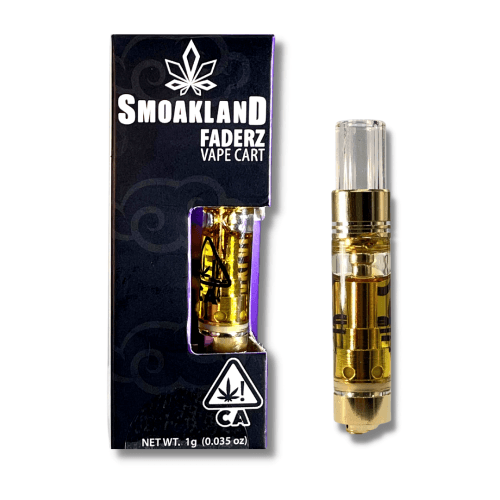 Faderz Cartridge - Slurricane (I) - 1g