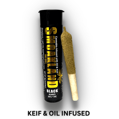 Pocket Rocket | Infused Pre-Roll - Blue Dream (S) - .5g