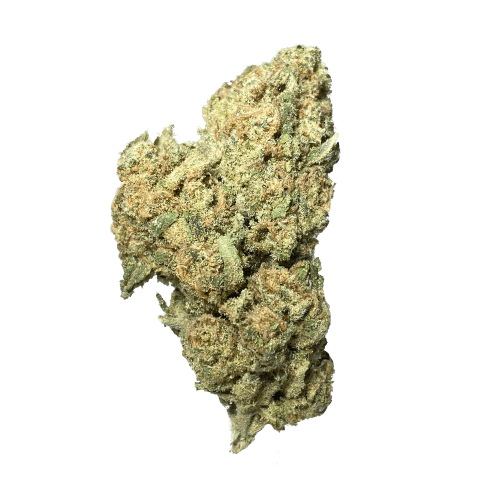 Exotix - Oreo Blizzard (H) - 14g