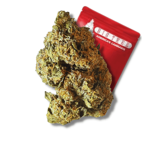 Big Tree - Cookie Jar (I) - 14g