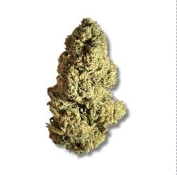 Black - Gary Payton (H) - 3.5g