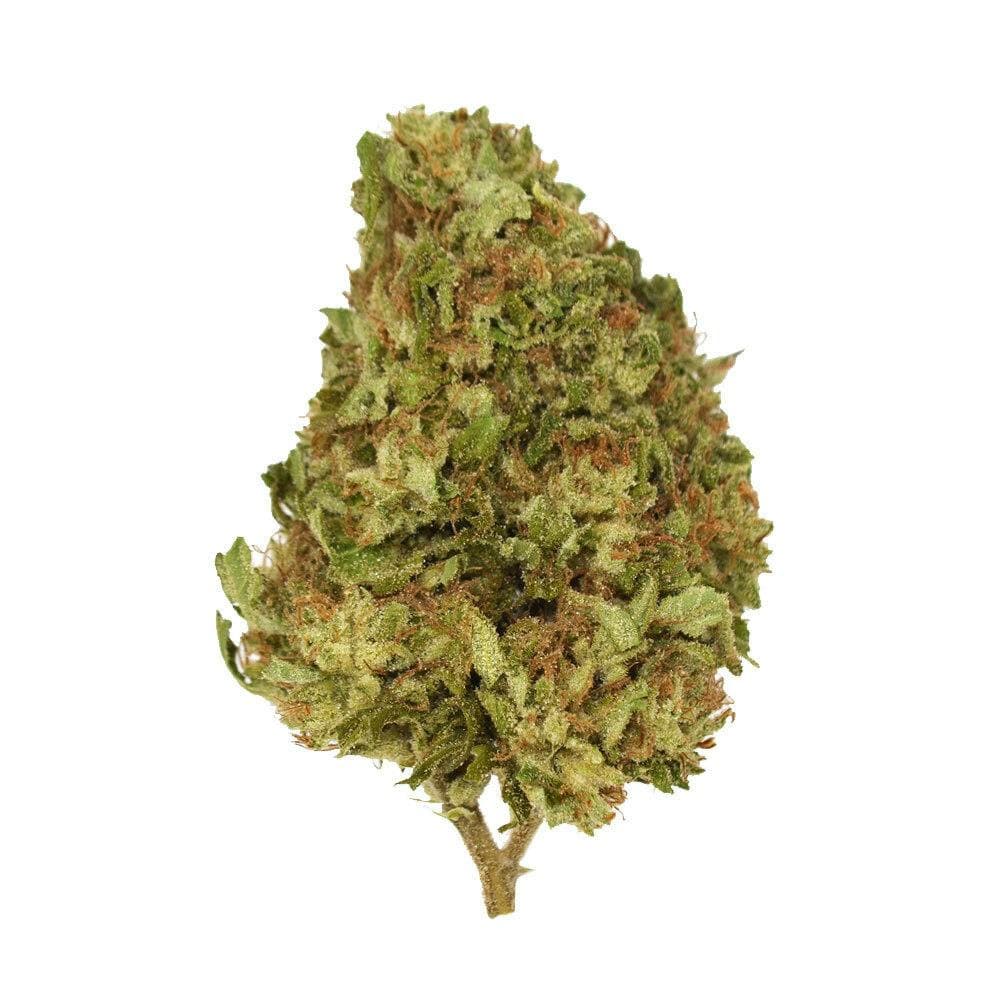 Xclusivez - South Florida OG (H) - 28g