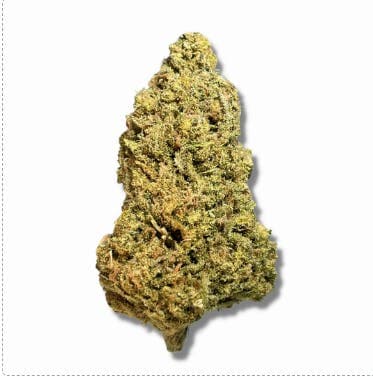 Black - Blueberry Express (I) - 14g