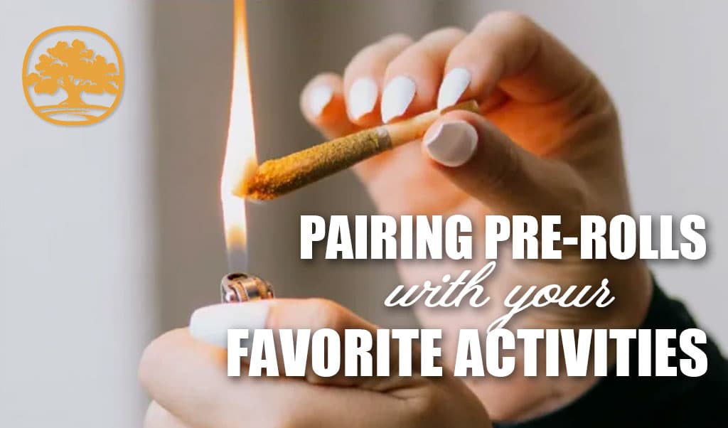 Pairing Infused Pre-Rolls with Your Favorite Activities: A Lifestyle Guide