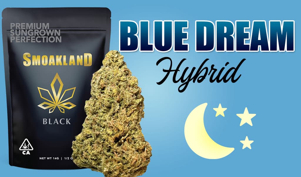 Blue Dream Unleashed