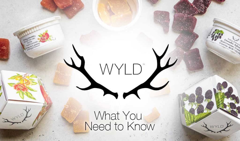 WYLD Gummies: What You Need to Know