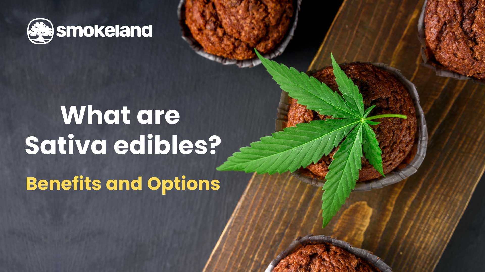 The Ultimate Guide to Sativa Edibles: Benefits and Options