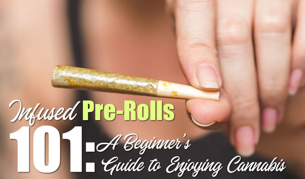 Infused Pre-rolls 101: A Beginner's Guide to Enjoying Cannabis