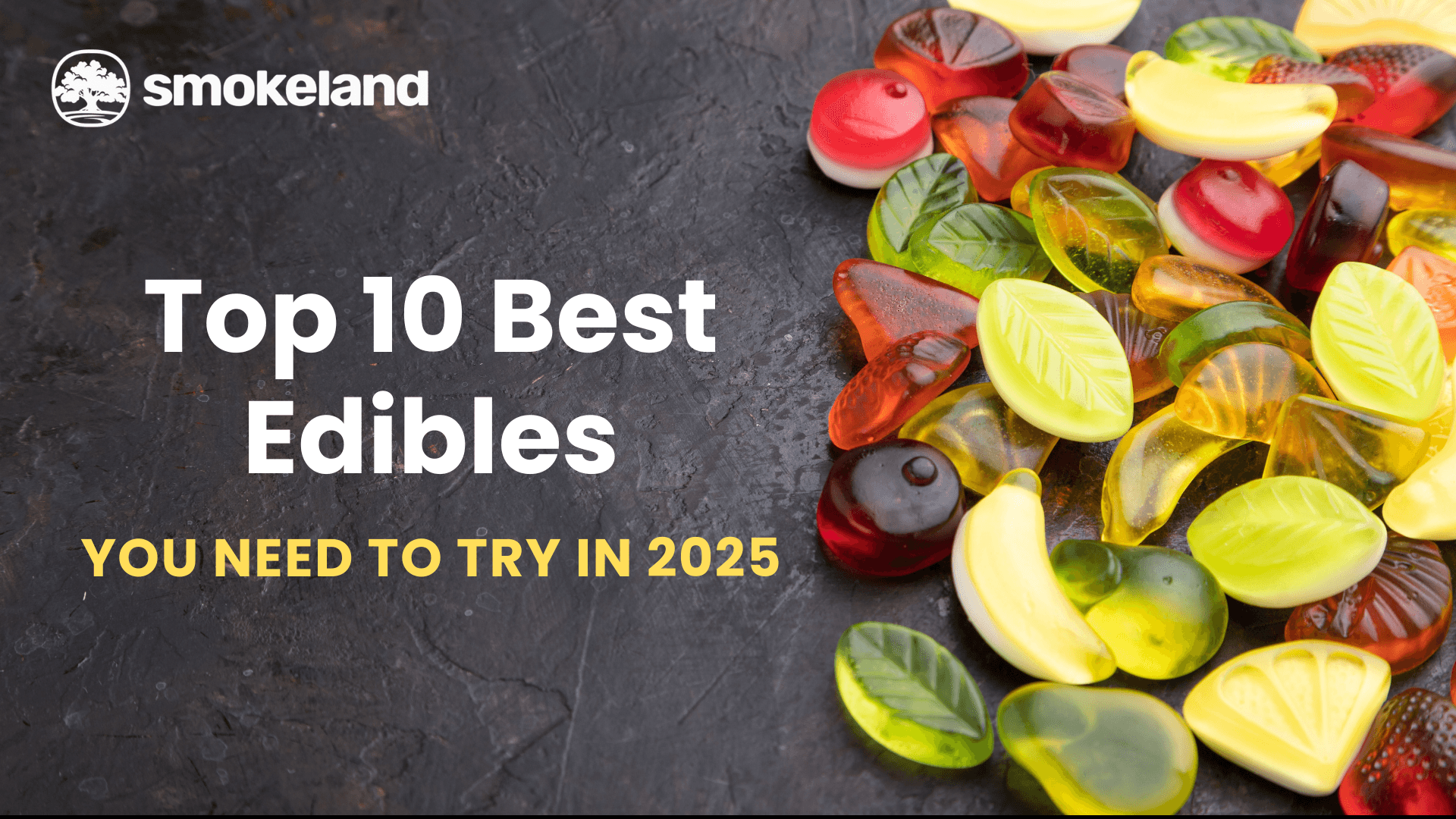 Top 10 Best Edibles You Need to Try in 2026