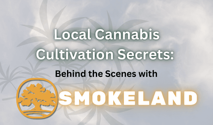 Local Cannabis Cultivation Secrets: Behind the Scenes with Smokeland