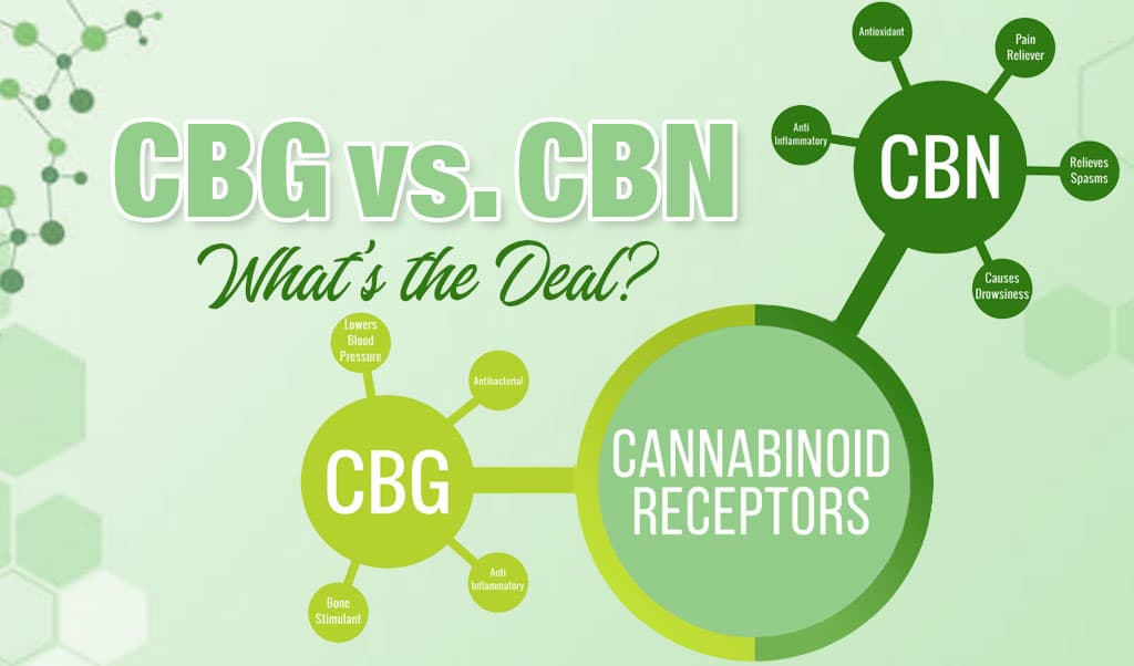 CBG vs CBN: What’s the Deal?