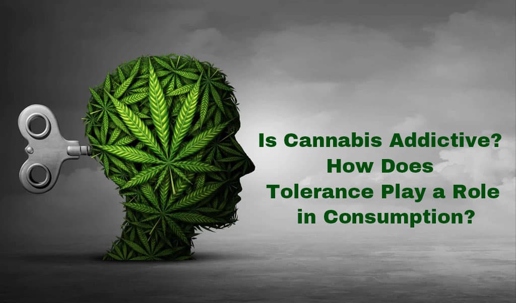 Is Cannabis Addictive?  How Does Tolerance Play a Role in Consumption?
