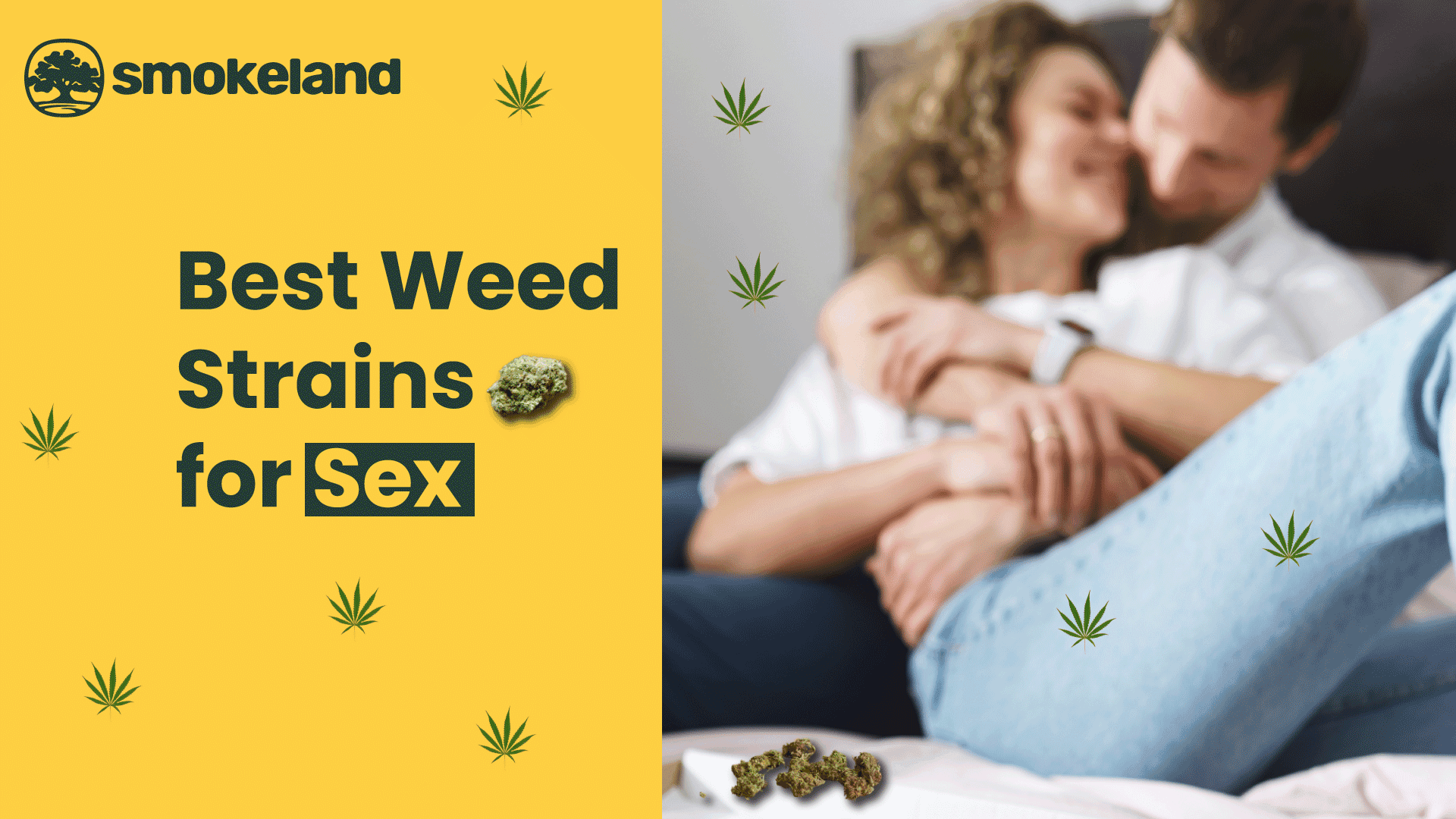 Top 5 Best Weed Strains for Sex
