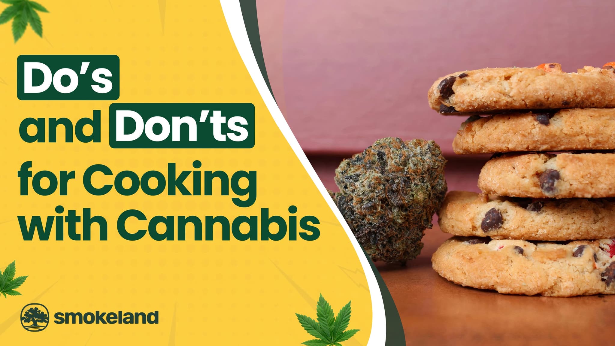 Cooking with Cannabis: Dos and Don’ts for DIY Edibles