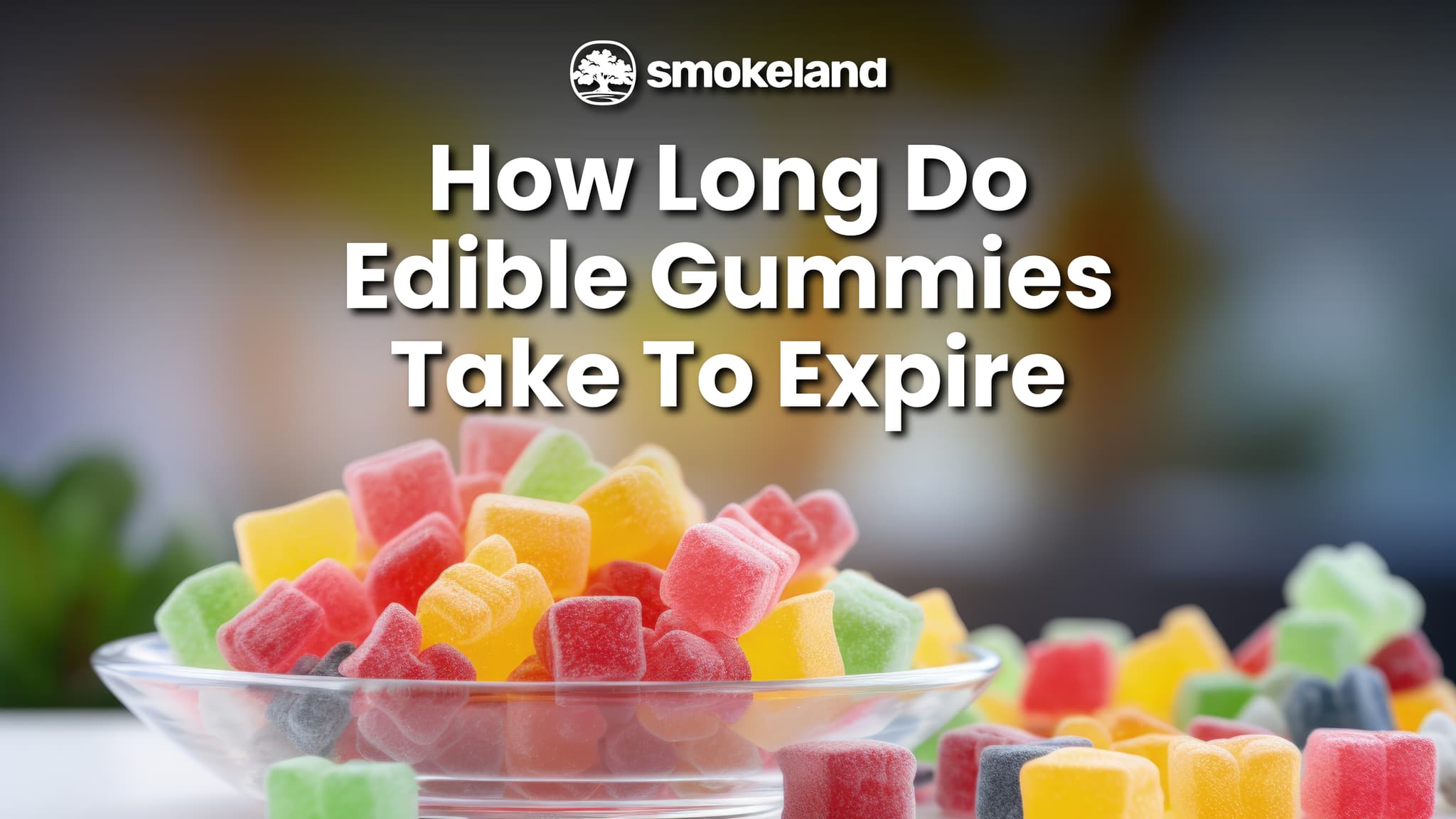 How Long Do Edible Gummies Take to Expire