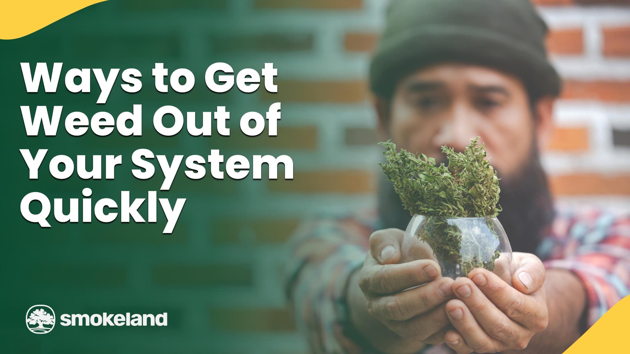 How to Get Weed Out Your System