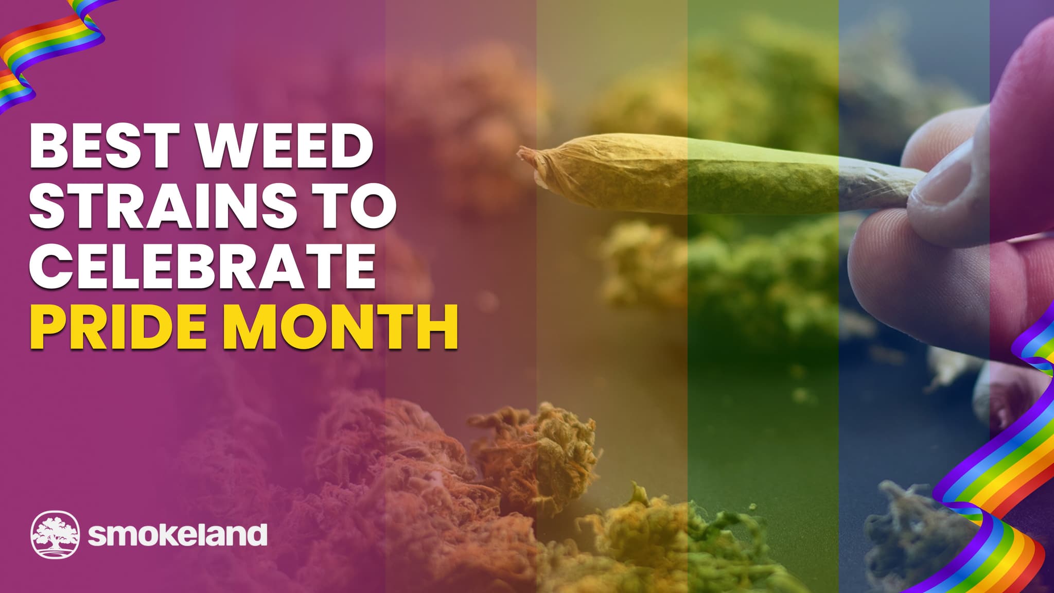 5 Best Weed Strains to Celebrate Pride Month
