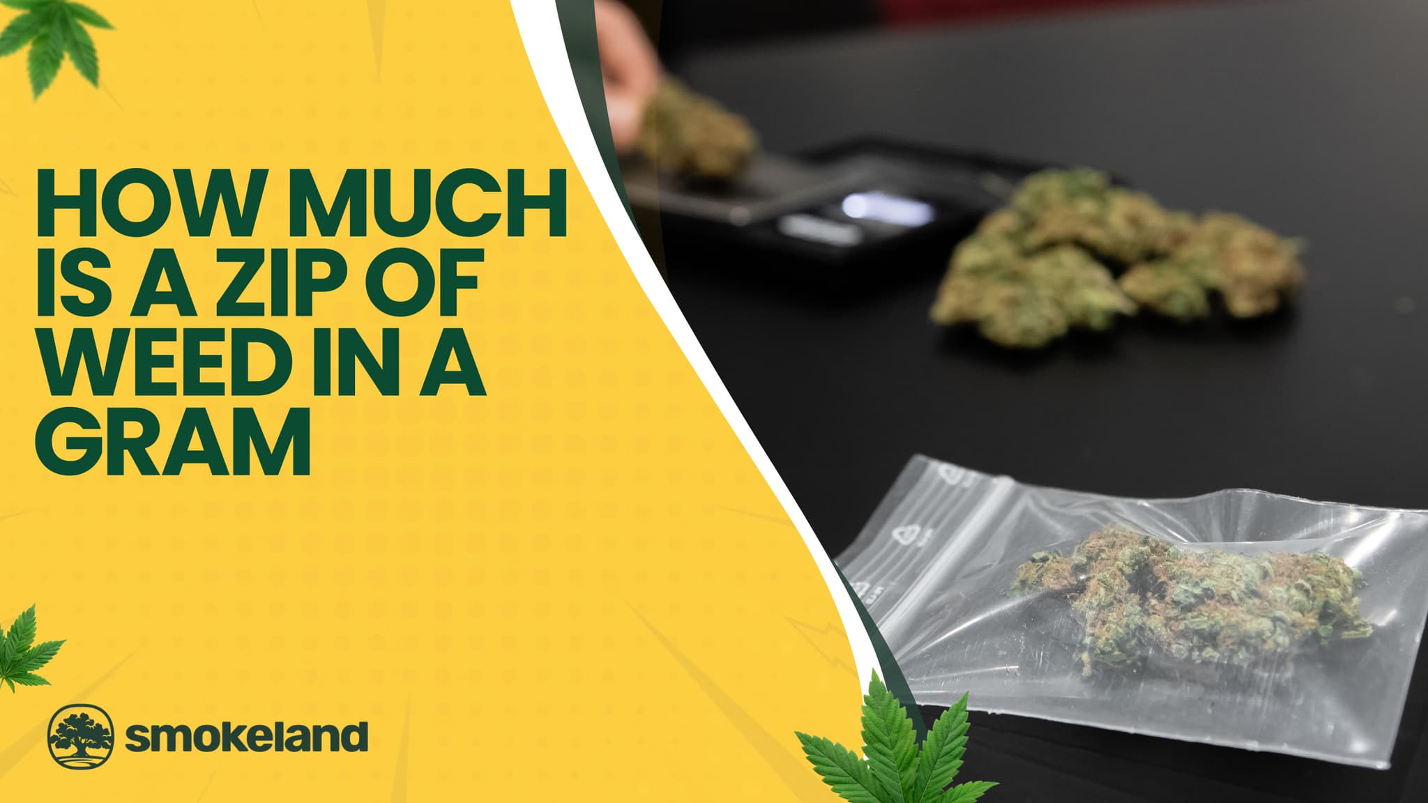 How much is a zip of weed in a gram?