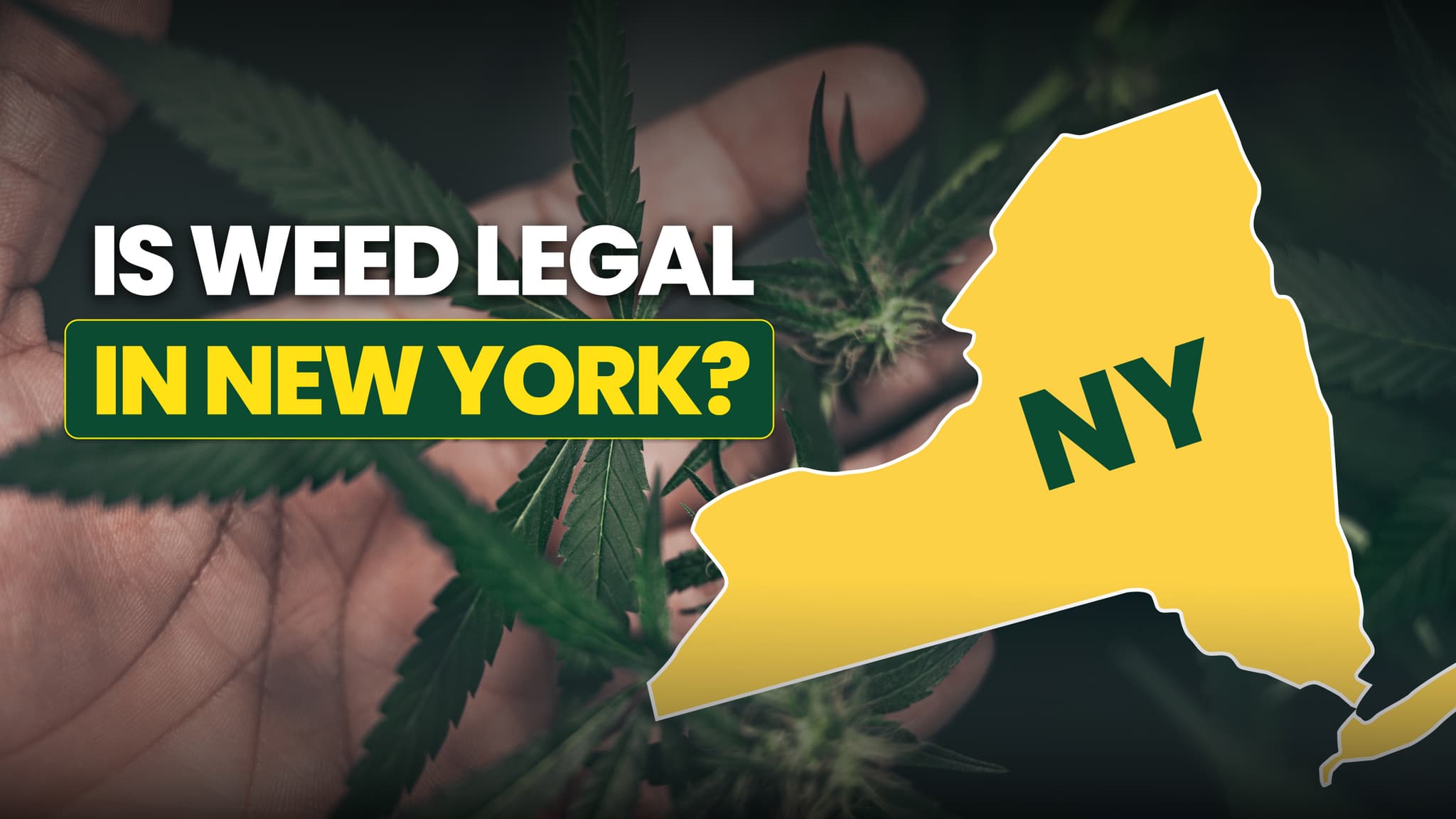 Is Weed Legal in New York? What You Need to Know Before Visiting a Dispensary