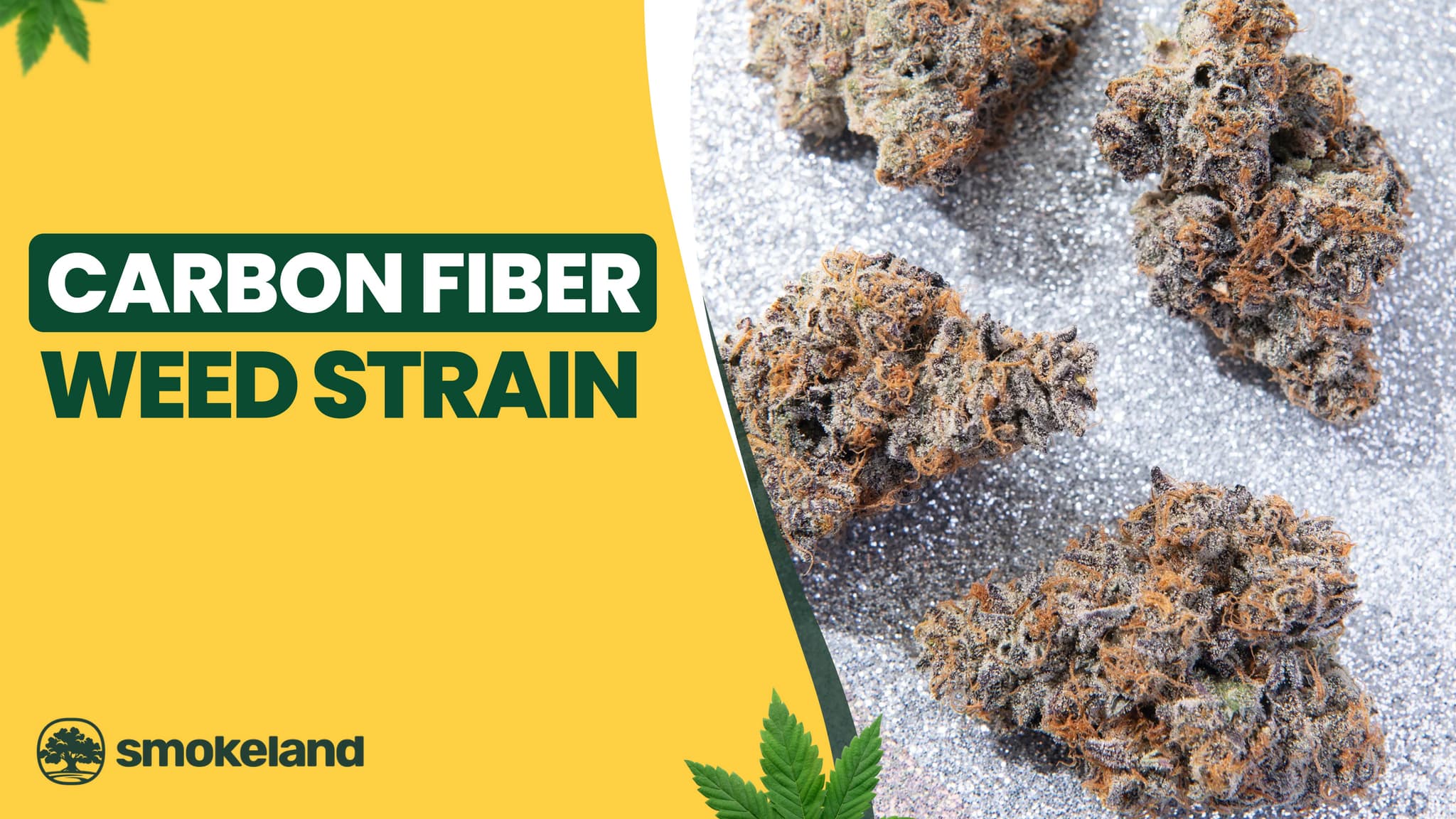 Carbon Fiber Weed Strain: Flavor Profile, THC Level and Why Smokers Love It