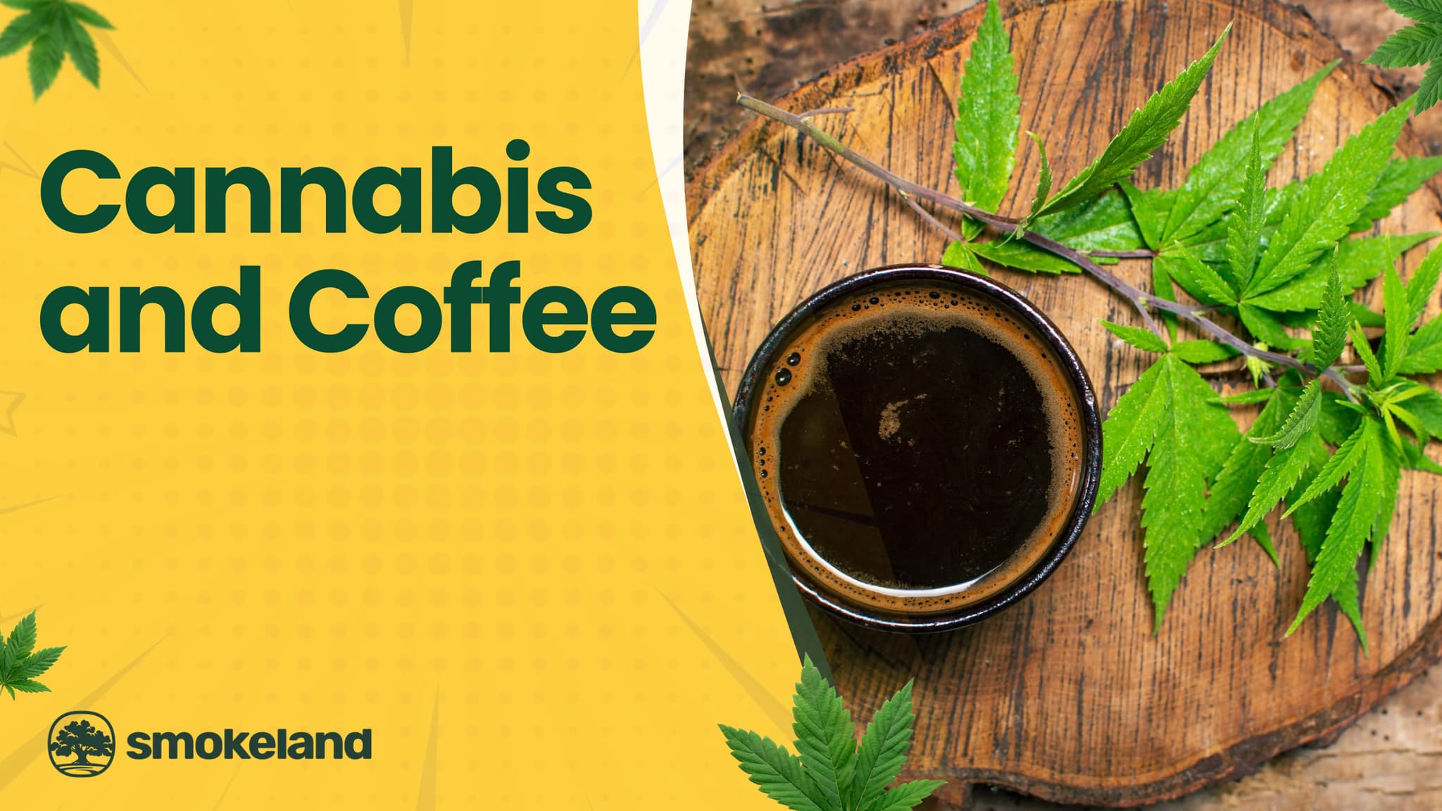 How Cannabis and Coffee Work Together: Benefits and Effects