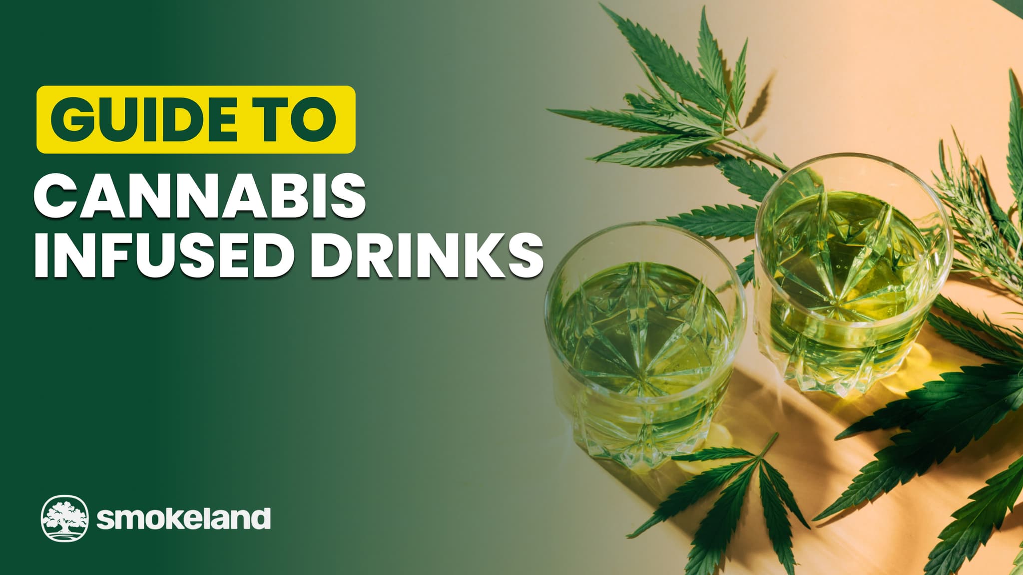 The Rise of Cannabis-Infused Beverages: What You Need to Know
