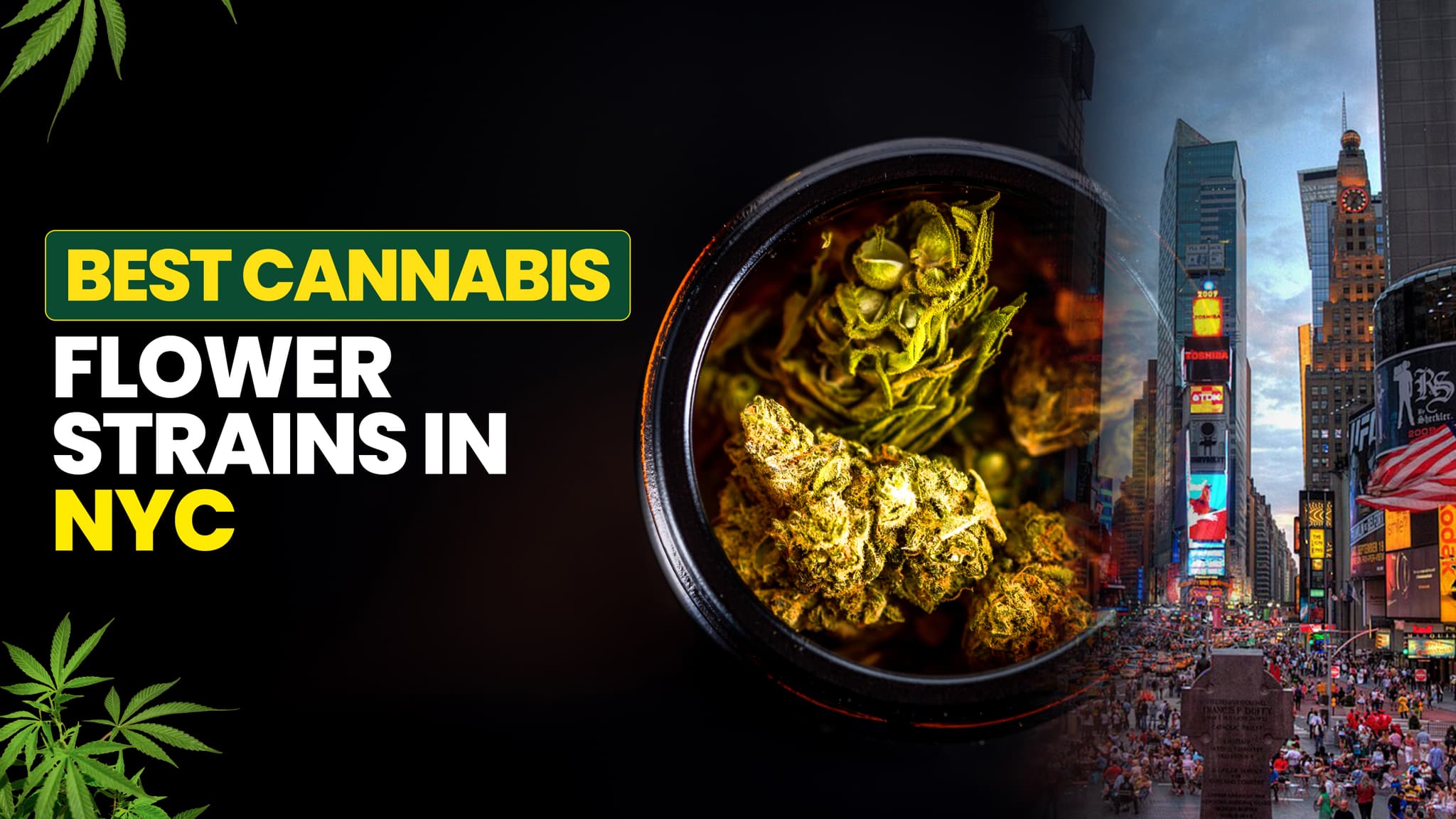 Best Cannabis Flower Strains in NYC: A Look at Smoakland's Top Picks