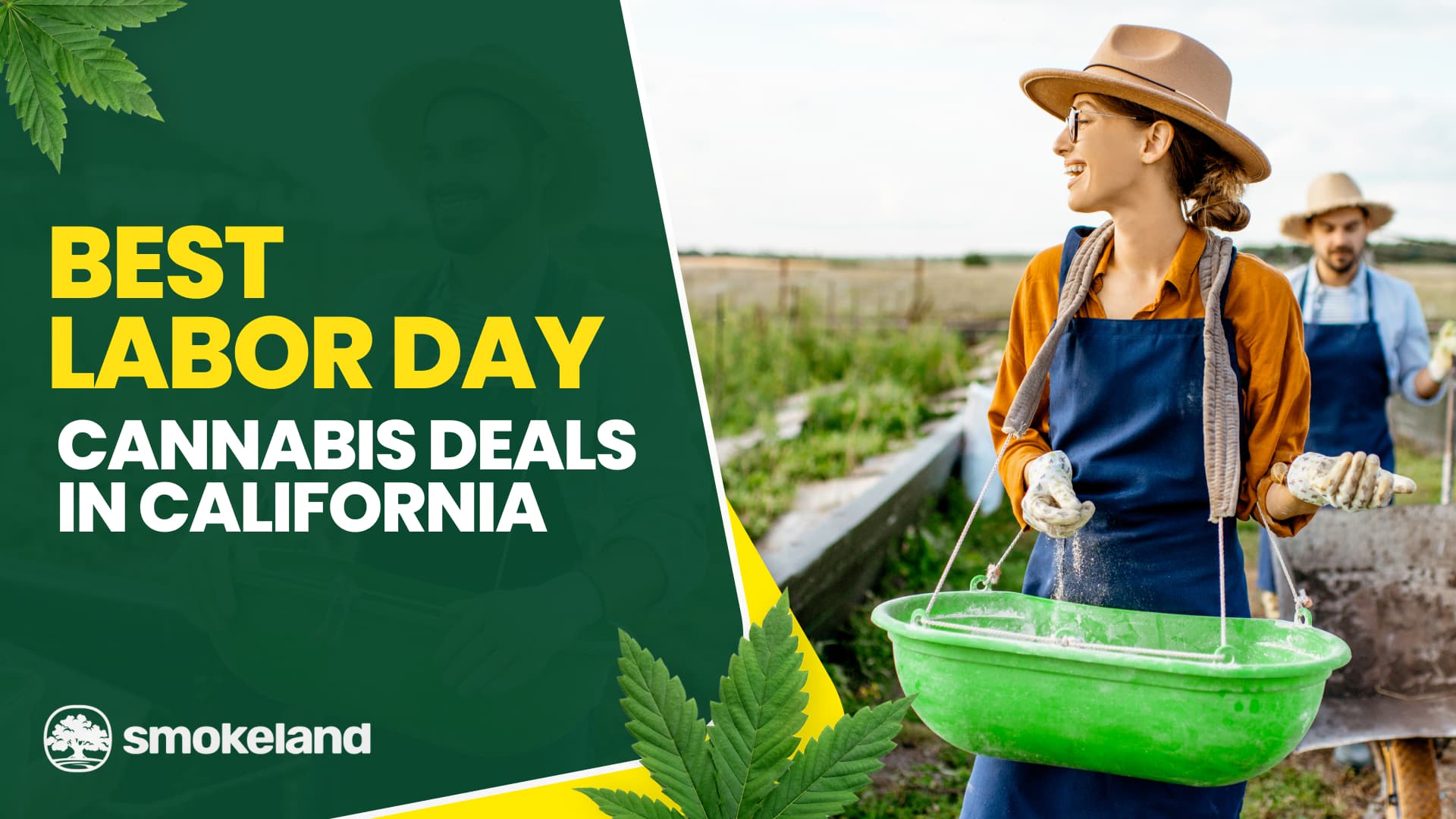 Labor Day Weed Sale: The Best Cannabis Deals in California